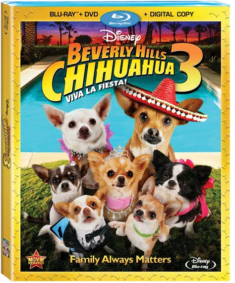 chihuahua chloe|beverly hills chihuahua movie free.